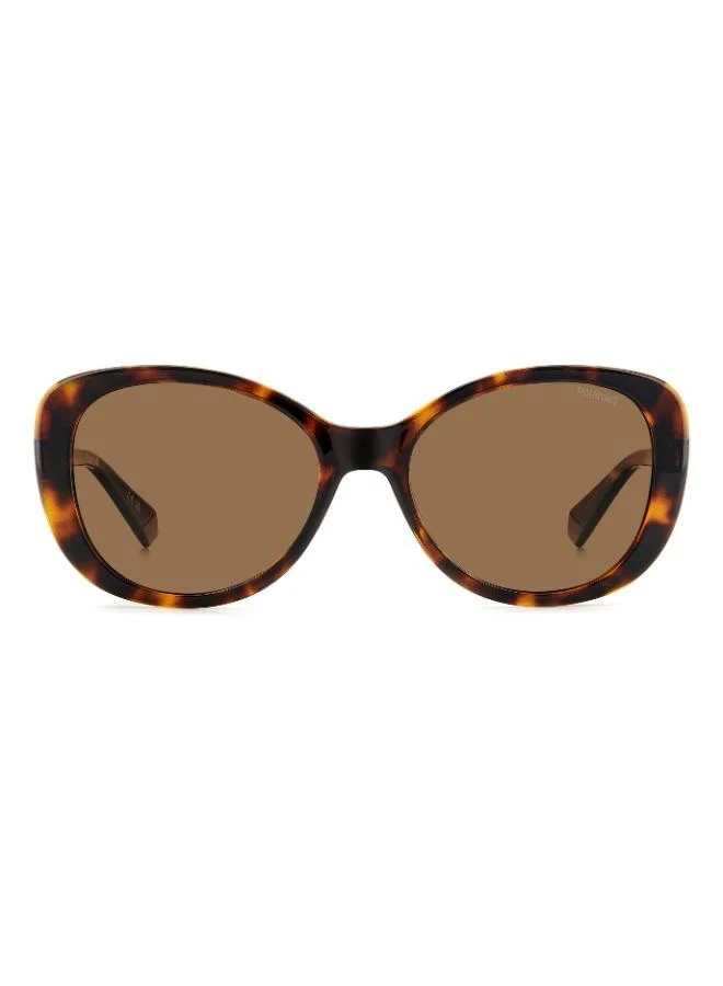Polaroid Rectangular Sunglasses Frames